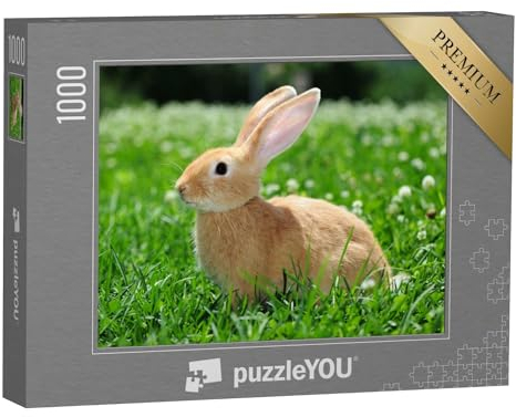 puzzleYOU: Puzzle 1000 Teile „Kaninchen in der Natur“ – aus der Puzzle-Kollektion Hasen, Tiere in Wald & Gebirge