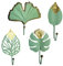 zalati Perchas 4pcs Metal Mini Soporte De Pared Con Forma De Hoja Estilo Para Ropa Bolso Bufanda Llaves Rack Ganchos - Verde