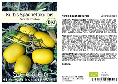 Seedeo® Kürbis Spaghettikürbis (Cucurbita pepo) 10 Samen BIO