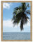 Cadre Photo Mural 30x45 cm / 45 x 30 cm Cadres Naturel Beige, 3.5 cm de Largeur, Cadre en Bois