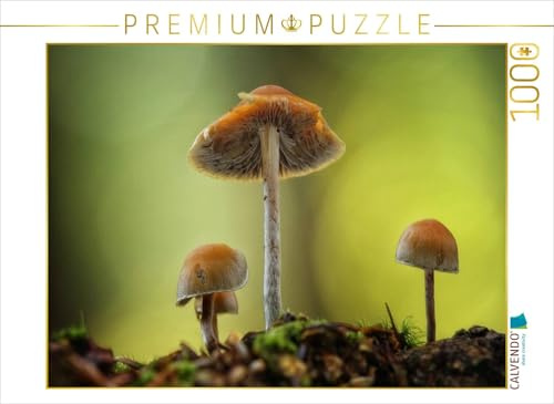 CALVENDO Puzzle EIN Motiv aus dem Kalender Pilze, die stillen Waldbewohner 2019 | 1000 Teile Lege-Größe 64 x 48 cm Foto-Puzzle für glückliche Stunden