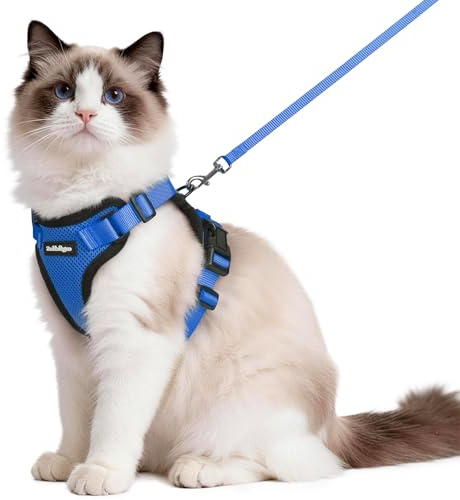 rabbitgoo Cat Harness and Lead Set, Escape Proof Vest, Blue | Soft Breathable Mesh, Adjustable Fit, Snap Buckles, Reflective Strips, with 1.5m Lead for Medium to Large Cats Walks, M