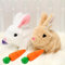 TBLMPNE Kaninchen Spielzeug Ostergeschenke Kinder, Interaktives Hüpfendes Kaninchen Ostern Plüsch Gefüllte Kaninchen Spielzeug Können Gehen und Sprechen, Ostern Geburtstagsgeschenk (D#-Braun+Weiß)