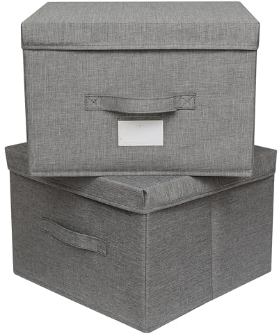 Augfox Set di 2 Contenitori per Armadio Salvaspazio - Scatole per Armadio Rigide, Scatola Porta Oggetti, Porta Giochi Bambini Contenitori (Grigio Scuro, 36x32x24cm)