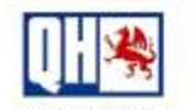 QH BS1192 Brake Shoes