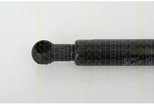 Triscan 8710 11110 Gas Spring, bonnet