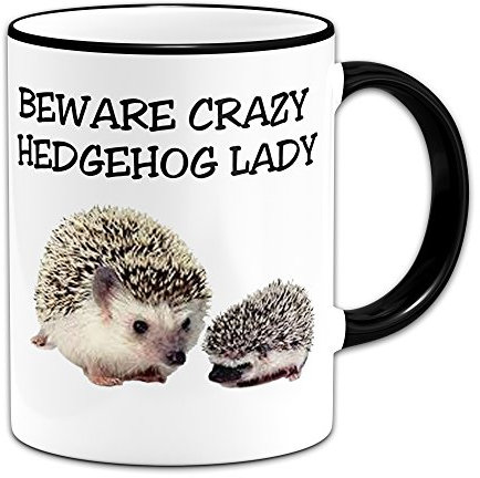 Ceramic Beware Crazy Hedgehog Lady Novelty Gift Mug - Black Handle/Rim