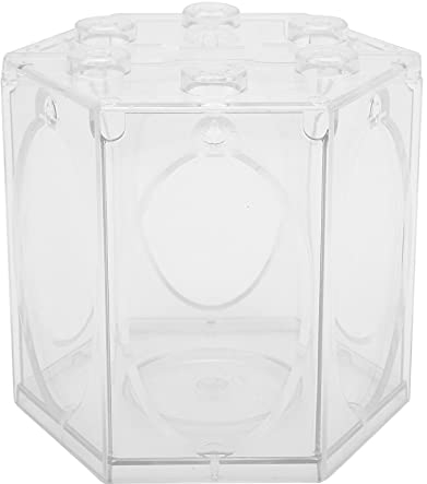 Tnfeeon Sechseckiges Aquarium, Kreativität Tragbare Laternenform Miniatur-Landschafts-Aquarium für Zuhause(transparent)