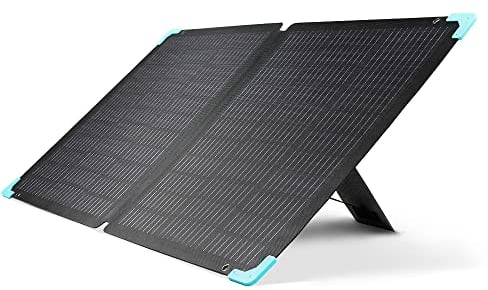 Renogy Panneau Solaire Pliable 220 W, Panneau Solaire Monocristallin Pliable étanche avec Béquille Réglable, pour Caravane, Camping-car, Hors Réseau