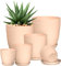 Utopia Home 10er-Pack Blumentopf 18/17/15/13/12 cm Übertopf mit Untertasse Für Küche, Balkon Blumentöpfe mit Untertasse Gartenpflanzen Sukkulenten, Baumschule Blumentopf für Zimmerpflanzen Rosa.