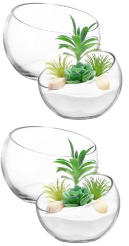 BESPORTBLE 2 Ensembles Pot De Fleurs Hydroponiques Succulentes Grand Vase Rond Pot-pourri Petits Vases en Verre pour Fleurs Conteneur De Composition Un Verre Transparent 2 Pièces * 2