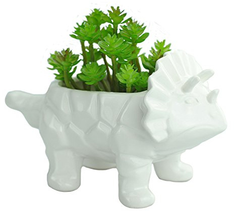 VanEnjoy Pot de fleurs en céramique en forme de dinosaure - 15,2 cm - Culture hydroponique - Bonsaï - Cactus - Tricératops - Blanc (avec trou)