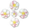 Zuckerdekoration zum Verzieren von Torten - Apfelblüten Motiv | Ø ca. 30mm/Deko-Teil - 100 Stück im 300g Pack | Essbares Dekor für Kuchen, Cupcakes & mehr - Kinderleichtes Verzieren von Backwaren