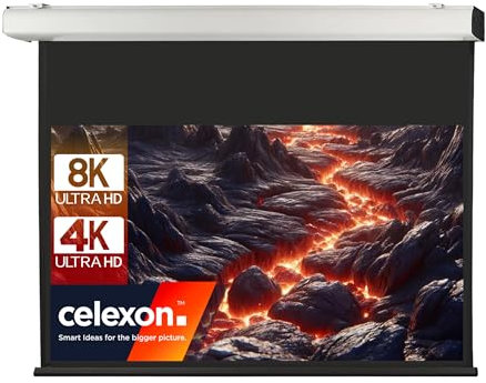 celexon Expert XL Motor-Leinwand 200 | 450x253 cm 16:9 | elektrische 8K, Full-HD Installations-Leinwand für jahrelange Projektionsfreude mit Ihrem Beamer | geeignet zur Decken- und Wand-Montage