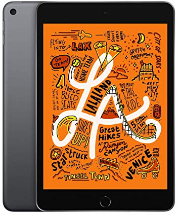 2019 Apple iPad Mini (7.9-pulgadas, Wi-Fi, 256GB) Gris Espacial (Reacondicionado)