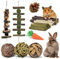 ERKOON Kauspielzeug für Kaninchen, Meerschweinchen, Hamster, Chinchilla, Eichhörnchen, Rennmaus, Ratte - 10 Arten, Bio-Apfelstäbchen, Bio-Timothy-Heu, Zahnhygiene, Langeweile-Buster, Indoor