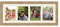 Cadres Photos pêle mêle multivues Blanc Cassé 4 Photo(s) 15x20 Passe Partout, Cadre Photo Mural 70x25 cm Naturel Beige, 3.5 cm de Largeur