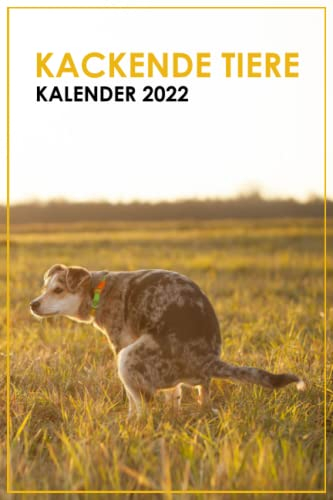 Kackende Tiere Kalender 2022: Das lustigste Geschenk für Tierliebhaber, Frauen, Männer, Freunde, Kollegen für Weihnachten, zum Geburtstag, Valentinstag, etc.