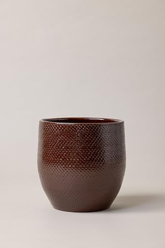Plantpatio® Cache-Pot Artisanal en Terracotta émaillée, Cato (21 cm, Marron Noyer)