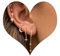 Piercing Ohr Gold Ohrringe Set für Mehrere Ohrlöcher Helix Piercings für Damen 14K Vergoldet Ohrstecker Set Klein Creolen Gold Ohrringe Knorpel Ohrstecker Conch Tragus Piercing Gold