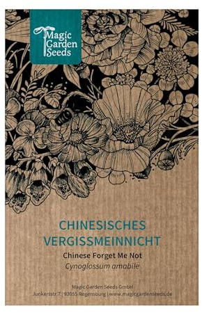 Chinesisches Vergissmeinnicht (Cynoglossum amabile) - ca. 80 Samen der einjährigen Sommerblume China-Hundszunge