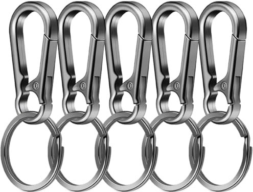 5 Pcs Karabiner Schlüsselanhänger, Schlüssel Karabiner, Karabinerhaken Klein, Schlüsselkarabiner Abnehmbare, Metall Schlüsselring mit Karabiner für Aufhängen im Rucksack, Autoschlüssel