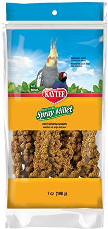Kaytee Spray Millet Treat for Pet Birds, 7 Ounce