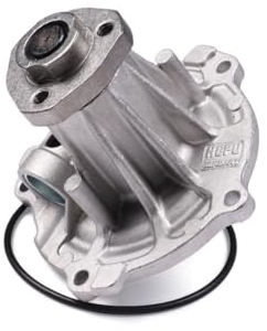 Hepu P542 Wasserpumpe