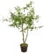 Kunstpflanze im Blumentopf 105 cm - Olivenbaum - Künstliche Deko Pflanze - Kunst Blume Zimmerpflanze Baum