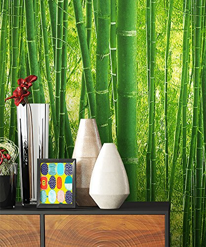 NEWROOM Papier peint Vert Bambou Papier - Nature Forêt