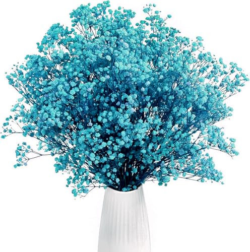 Gipizi Gypsophila Seca Azul, 43cm Gypsophila Seca Natural Flores de 3000 Botones, Flores Preservadas para para Boda, Decoración del Hogar, Bricolaje y Fiesta