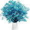 Gipizi Schleierkraut Getrocknet Blau, Natürliche Gypsophila Getrocknet Trockenblumen über 3000 Blütenknospe, Blau Gypsophila Trockenblumen für Schleierkraut für Hochzeit, Heimdeko