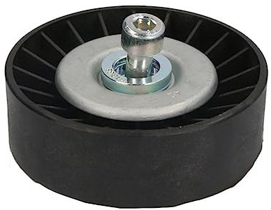 Dayco APV1019 Spannarm
