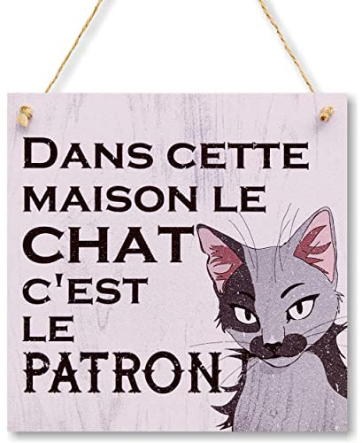 CARISPIBET En esta casa Enseña y carteles decorativos mascota gato decoración de pared divertida 20 x 20 cm