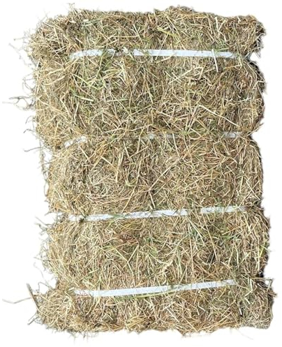 Fearns Farm Compressed & Banded Straw Bale - 10kg Dust Extracted Barley Straw Bedding - Suitable for Horses, Rabbits & Small Animal Bedding