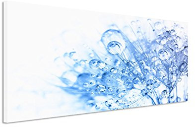 150x50cm Leinwandbild auf Keilrahmen Löwenzahn Pusteblume Wassertropfen abstrakt Wandbild auf Leinwand als Panorama