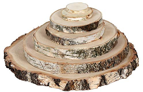 Tagliere rotondo in legno di betulla – disco di corteccia per albero rettificato, dimensioni: Ø ca. 6 cm