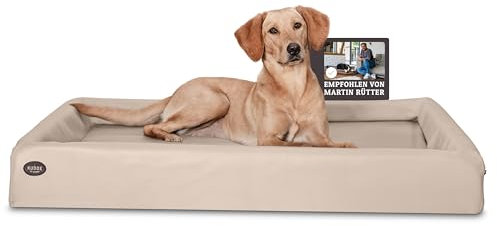 SABRO KUDDE Orthopädisches Hundebett – Martin Rütter – Hochwertiges Kunstleder – Waschbar & Wasserabweisend – Ergonomisch – Premium Haustierzubehör für Mittelgrosse, Grosse Hunde XL in Beige