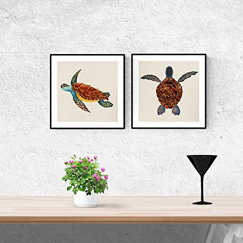Nacnic Quadratische Bunte Poster Set von Schildkröten. Wanddeko Bilder von Tiere für eine bunte Note in Ihrem Haus, Büro, Geschäfte ... Größe 20x20 cm, rahmenlos.