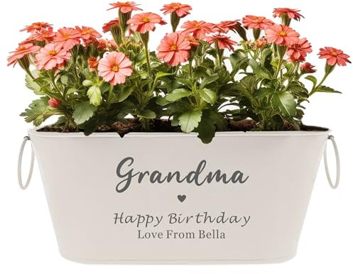 EDSG Personalised Plant Pot Engraved Metal Flower Pot Planter Garden Plant Pots Outdoor with Rings Gardening Gifts for Women Her Nanny Railing Balcony Anniversary Wedding Birthday(White, Design 3)