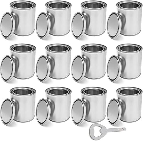 Paquet De 12 Pots De Peinture Vides Avec Couvercles, Seaux De Peinture Sans Doublure De 500 Ml, Conteneurs De Stockage De Peinture En Vrac, Pour Le Stockage, La Peinture