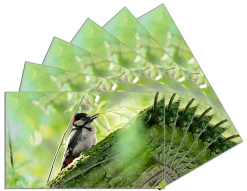 Wallario 6er Set Frühstücksbrettchen aus Glas, Glasunterlage, Glasbrettchen Specht im grünen Versteck, Größe 14 x 23 cm, Sicherheitsglas