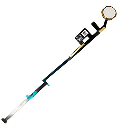 Gintai Golden Home Button Key Button Kabelersatz für i Pad 7 10.2 A2197 A2198 A2200 2019 7. Generation ohne Fingerabdrücke