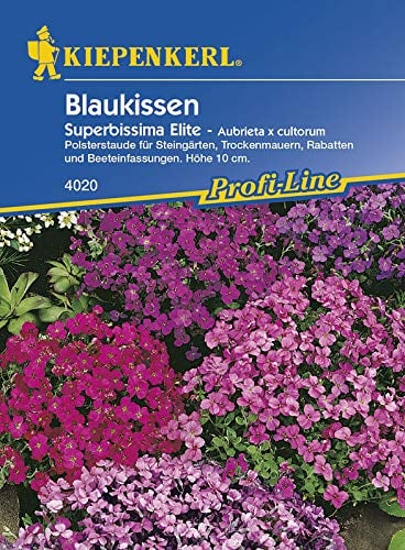 Kiepenkerl 4020 Blaukissen Superbissima Elite (Blaukissensamen)