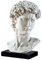 Design Toscano Büste von Michelangelos David, Statue