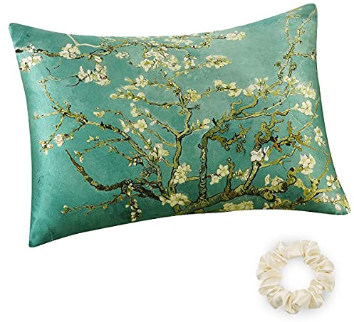 ALASKA BEAR Silk Pillowcase for Beauty Sleep Pure Genuine 22 Momme Mulberry Silk Crepe Pillow Case Cover for Hair and Face Skin Health Standard Size (1pc, w/Luxury Gift Box)