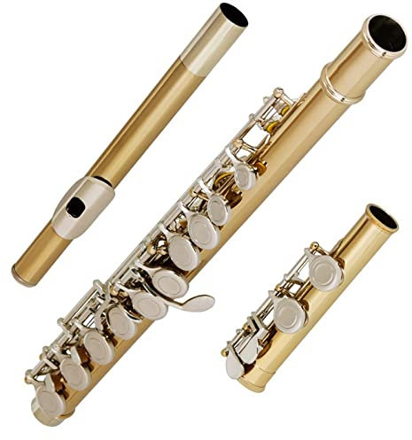 16 Geschlossene Löcher C-Taste, Golden, Silber, Professionelle Flöte Mit Box, Reinigungstuch, Stick, Handschuhe, Holzbläser Querflöte Anfänger