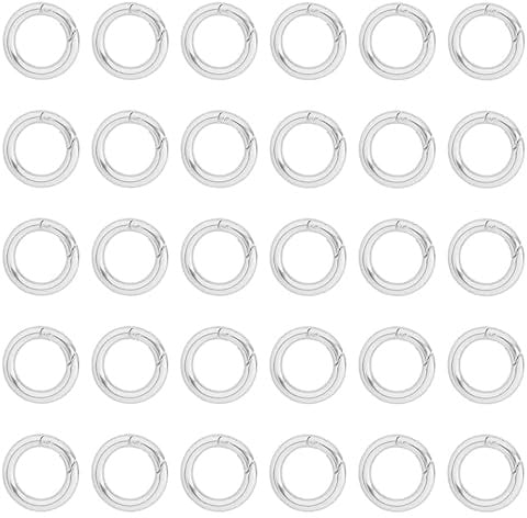 BRIOTA 30 Stück Karabiner Rund 33mm | Rund Silber Zinklegierung Karabiners für Schlüsselring Tasche, Geldbörse,Zubehör Karabinerhaken, DIY Schlüsselbund Handwerk