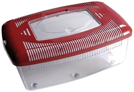 Europet Bernina 201-189412 Terra box mit Deckel 39 x 25 x 45.5 cm