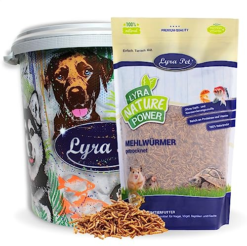 Lyra Pet® | 5 kg Mehlwürmer getrocknet + 30 L Tonne | Proteinreiches Vogelfutter | Für Wildvögel, Nager & Fische | Nahrhaftes Futter | Energiespender für Insektenfresser | Vitamine & Mineralstoffe